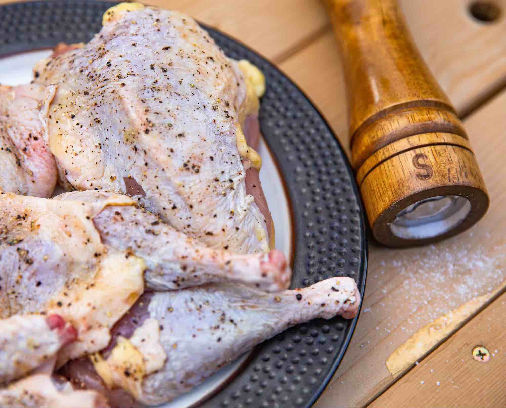 A plate with wild game meat and a salt shaker to enhance flavor