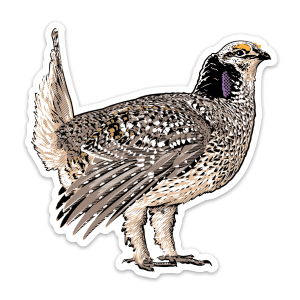 Sharp-tailed grouse sticker