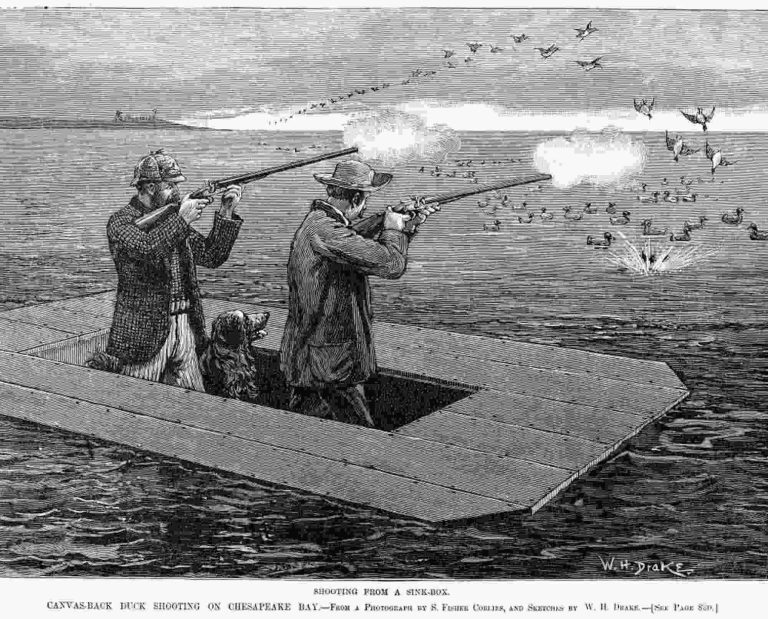 Historic etching of two duck hunters shooting ducks from a sink box