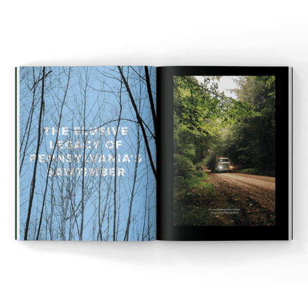 timber-harvest-magazine timber harvesting in PA in a magazine article