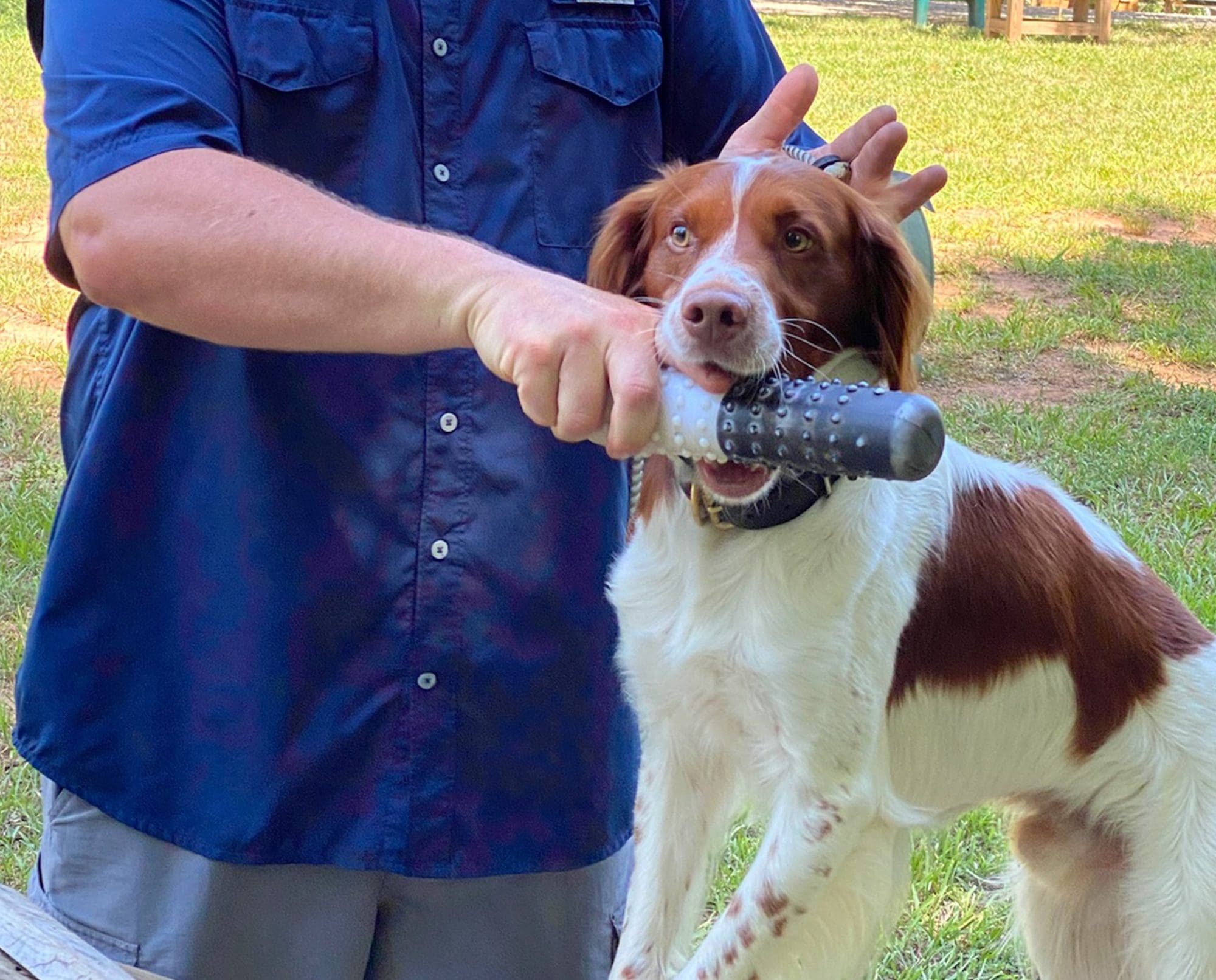Jordan Wells demonstrates his force fetch training method.