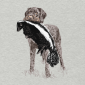 A German wirehair retrieves a skunk on a t-shirt