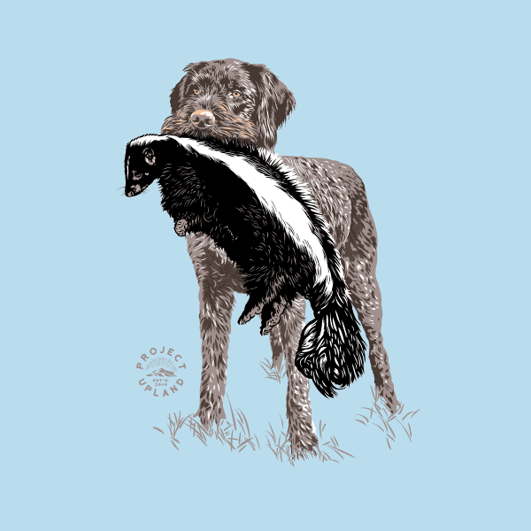 wirehair-skunk-t-shirt-close-up wirehair-skunk-t-shirt-close-up