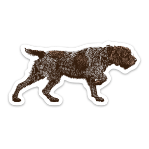 Wirehaired pointing griffon sticker.