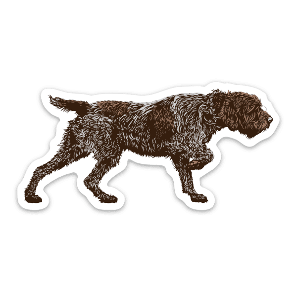wirehaired-pointing-griffon-sticker Wirehaired pointing griffon sticker.