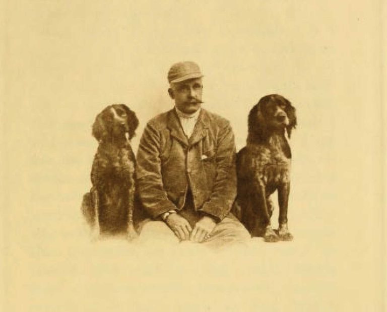 Front cover of the book woodcock shooting