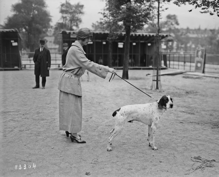 A woman handles a hunting dog durning a dog show in France.