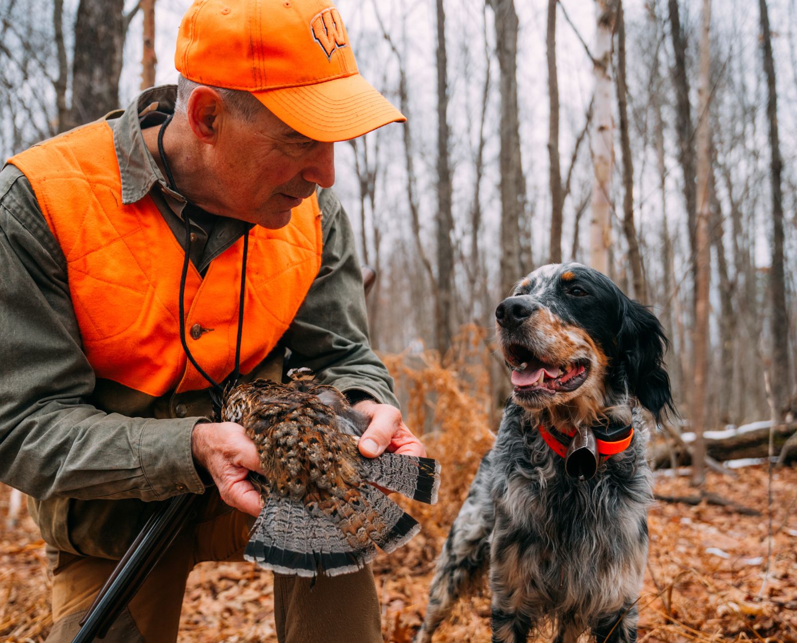 Upland author and Wisconsin resident Mark Parman hunts ruffed grouse in Wisconsin with his English Setter.
