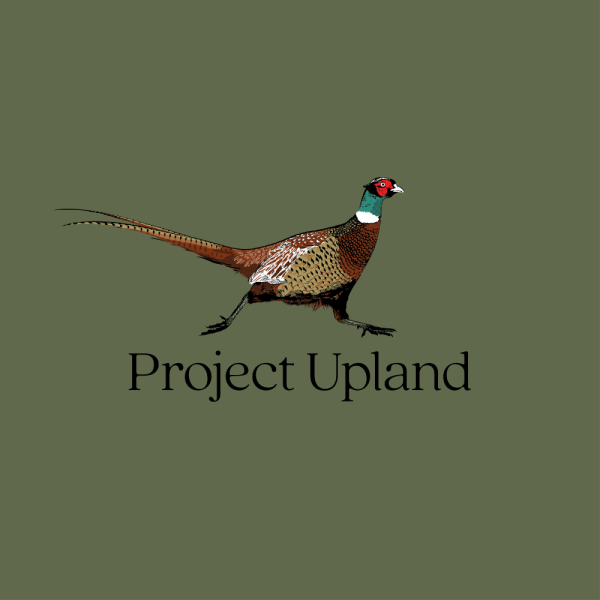 Wild-Pheasant-Design-Close-up Wild-Pheasant-Design-Close-up