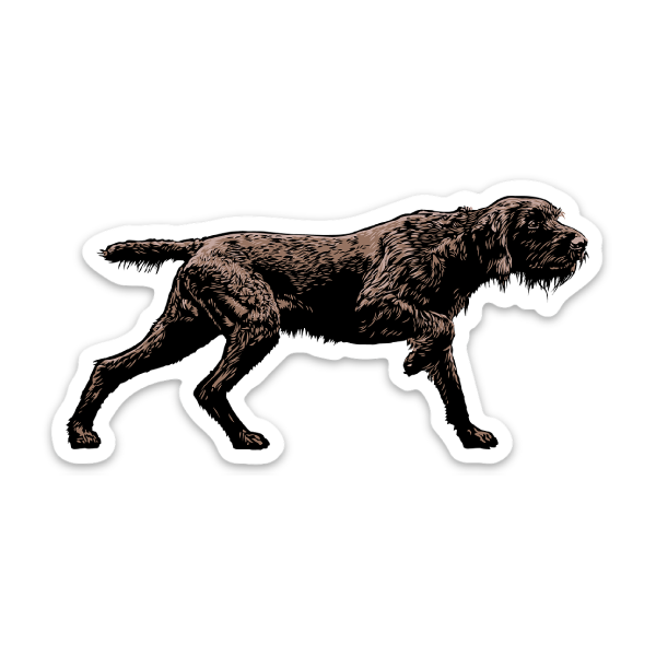 Pudelpointer-Clssic-Sticker Pudelpointer Classic Sticker