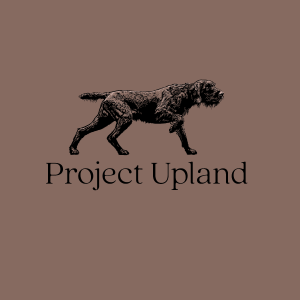 Pudelpointer-shirt-close-up