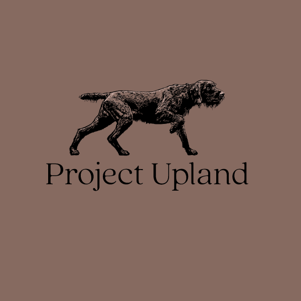 Pudelpointer-shirt-close-up Pudelpointer-shirt-close-up