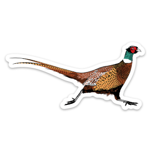 Ringneck Pheasant Sticker