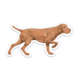 Wirehaired Vizsla Sticker