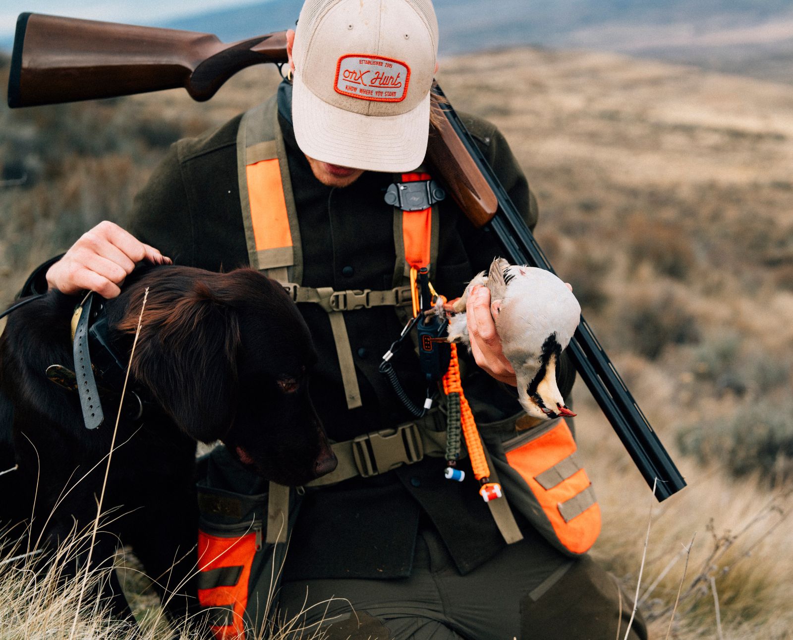 An upland hunter holds a chukar next to a Deutsch Langhaar.