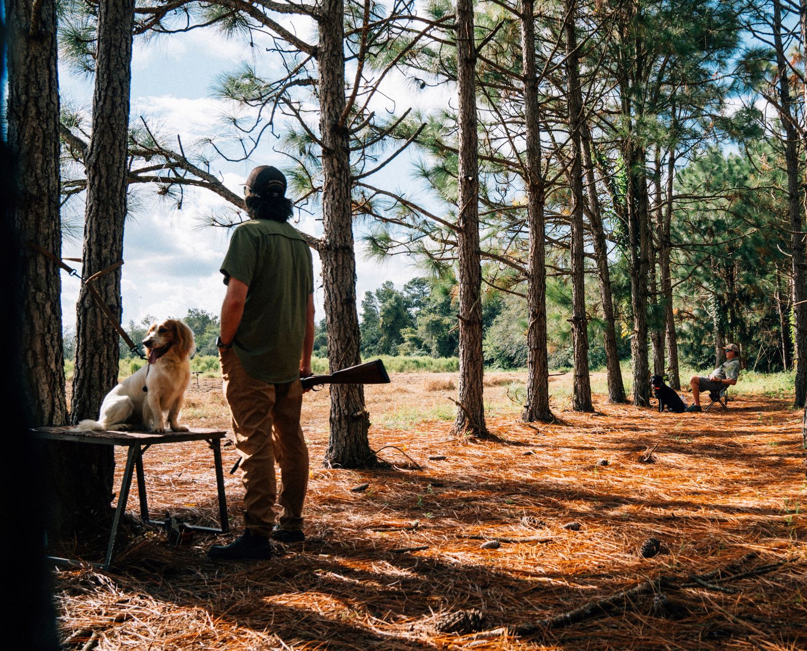 Two dove hunters stand in planted pines with a cocker spaniel in North Carolina.