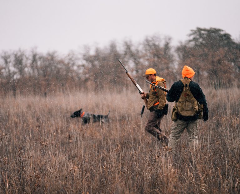 Kyle Hedges and Frank Loncarich hunting bobwhite quail with pointing dogs.