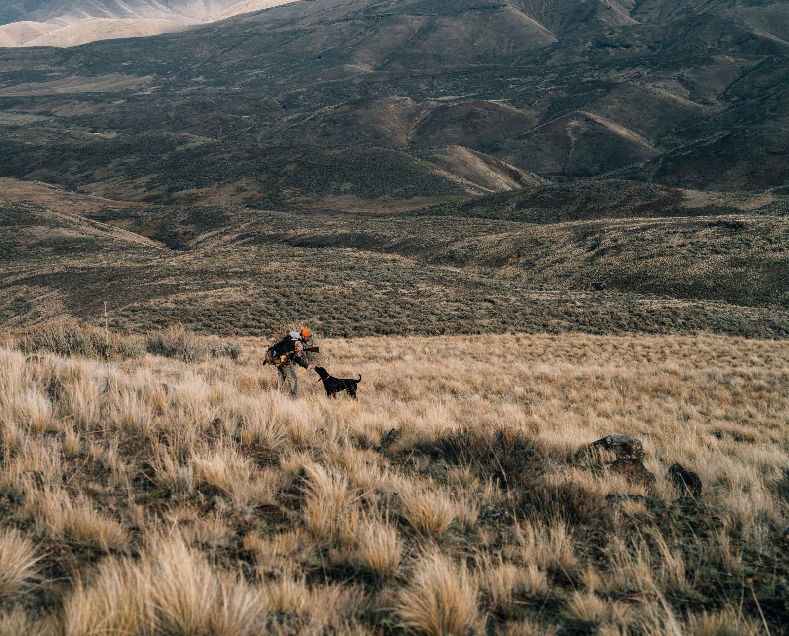 An upland bird hunter and a pointing dog hunting in chukar habitat.
