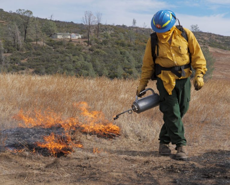 A firefighter lights a fire using a drip torch while wearing Nomex clothing, leather gloves, leather boots, and other personal protective equipment (PPE).