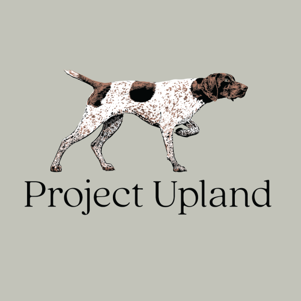 Liver-GSP-Dog-T-shirt Close up of the liver GSP t-shirt design.